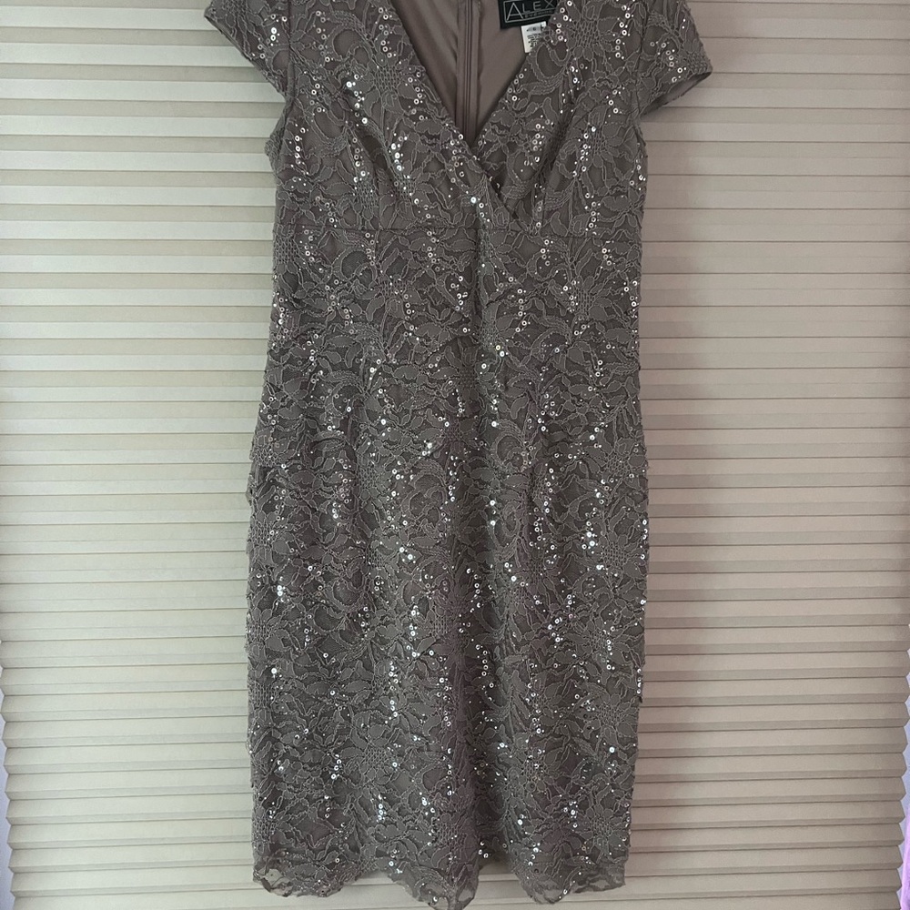 Alex cocktail /special occasion dress. Size 6/8
